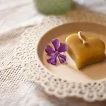 Harzglueck Casa de Férias