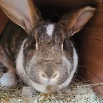 Casa de Férias Harzglueck Thale