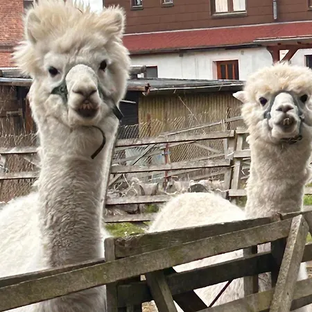 Casa de Férias Harzglueck